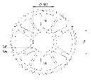 00-913-1.webp