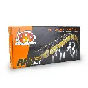 Moto-Master : Road chain | RPX-530 | X-ring | 120 links | Gold