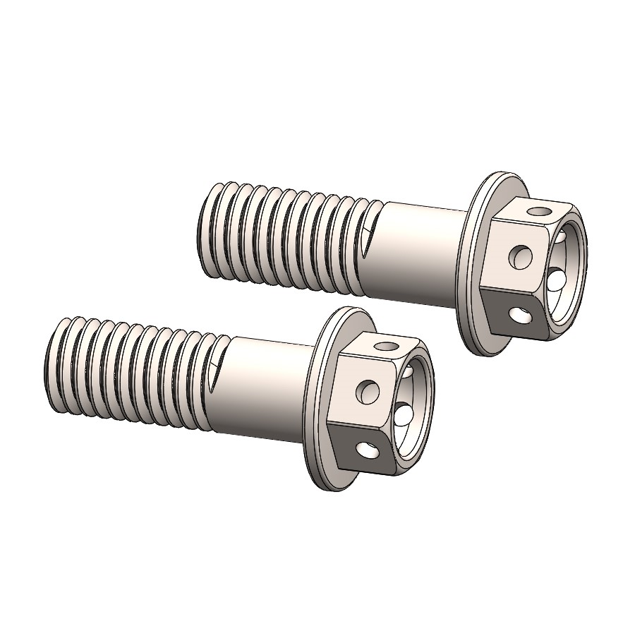 Moto-Master :  Supermoto caliper bolt set: Race-drilled (M8x24)