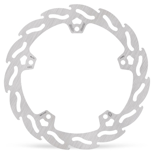 [110893] Flame rear disc Harley-Davidson: Pan America 1250